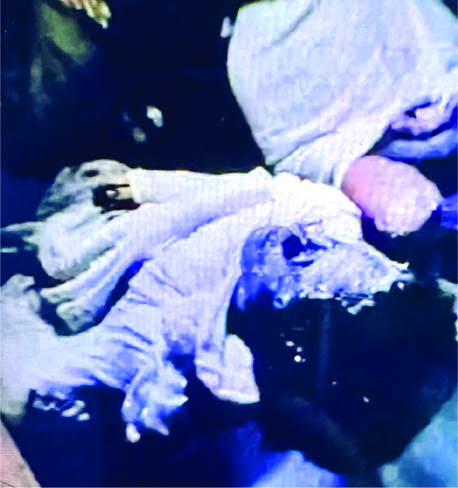 Photo of মো: সাহান পারভেজ